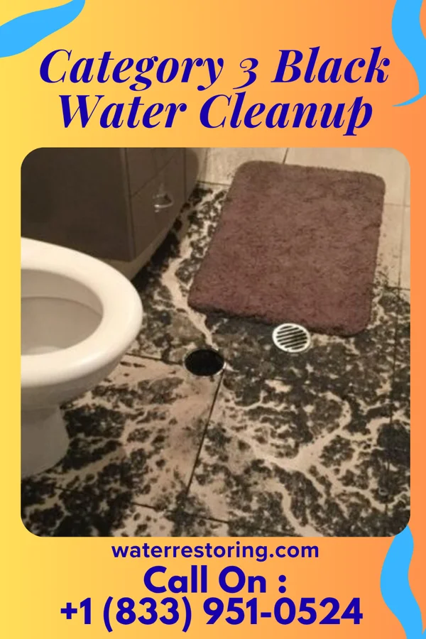 Category 3 Black Water Cleanup in Darien, GA