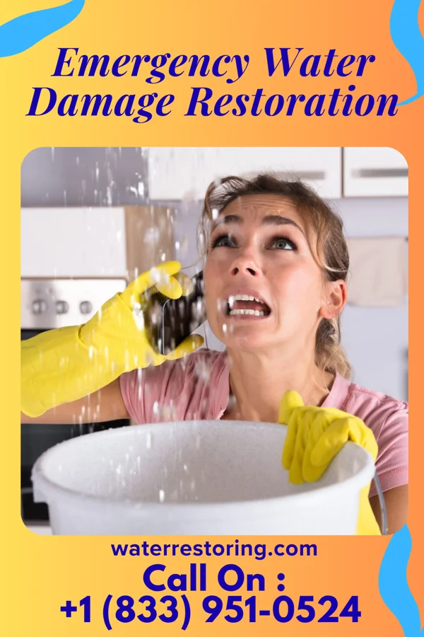 Emergency Water Damage Restoration in Darien, GA